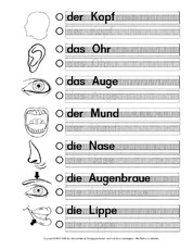 AB-DAZ-Körperteile-B.pdf